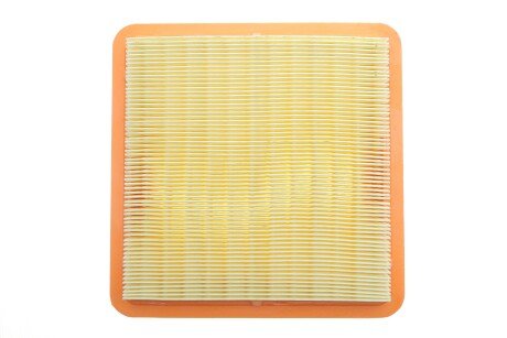 Фото 4 - Повітряний фільтр ALPHA FILTER AF1925S