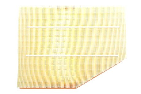 Фото 4 - Повітряний фільтр ALPHA FILTER AF1929