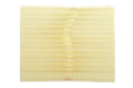 Фото 4 - Воздушный фильтр ALPHA FILTER AF1946s (AF1946S)