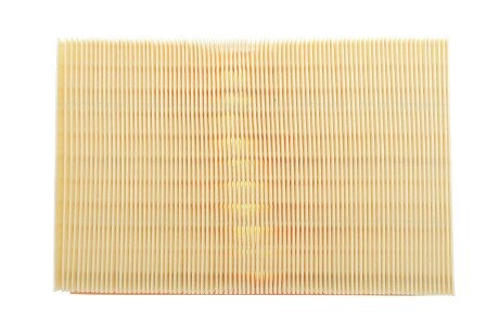 Фото 4 - Повітряний фільтр ALPHA FILTER AF1949