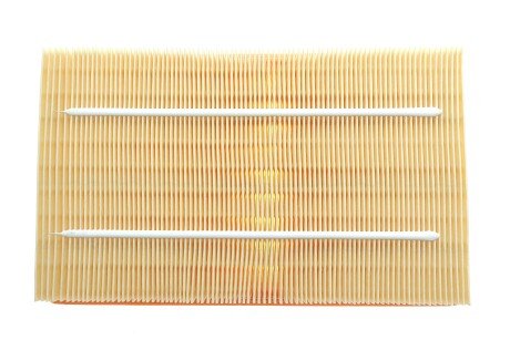 Фото 4 - Воздушный фильтр ALPHA FILTER AF1961