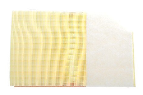 Фото 4 - Воздушный фильтр ALPHA FILTER AF1968