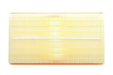 Фото 4 - Воздушный фильтр ALPHA FILTER AF1971