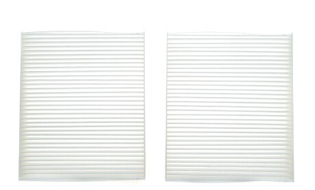 Фільтр салону BMW 5 (F10/F11/F07GT)/6 (F12/F13/F06GC) 10-18/7 (F01-F04) 08-15 (к-кт 2 шт.) - ALPHA FILTER AF5091-2