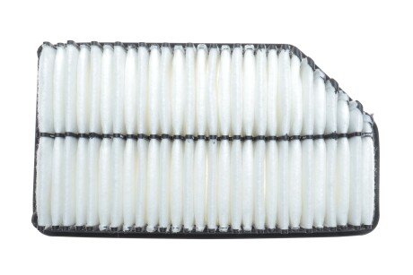 Фото 4 - Воздушный фильтр ALPHA FILTER AF7000