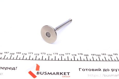 Фото 2 - Клапан випускний AMP PAUD024-A-0-N (PAUD024A0N)