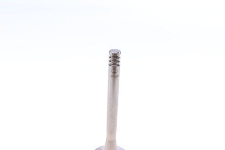 Фото 4 - Клапан випускний AMP PAUD024-A-0-N (PAUD024A0N)