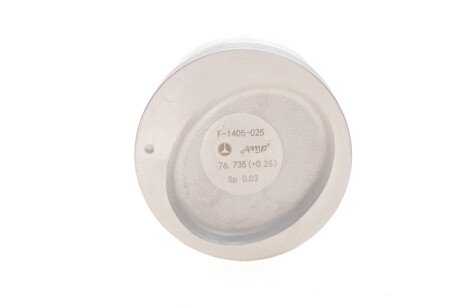 Фото 6 - Поршень AMP PX-CHE-4F-1405-025 (PXCHE4F1405025)