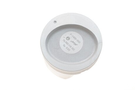 Фото 3 - Поршні AMP PX-CHE-4F-1405-050