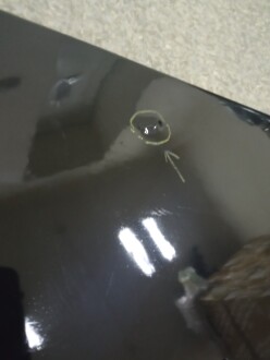 Фото 3 - Автозапчастина AND 30071071REF