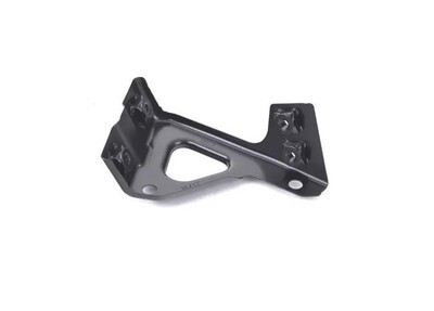 Кронштейн крила VW TIGUAN, 07 - 11 - AND 30821394