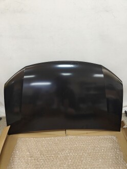 Капот (незначні випуклості) - AND 30823311REF2