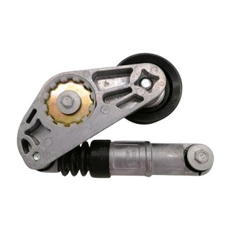 Натягувач реміня навісного обладнання, (F1) - AND 30903032