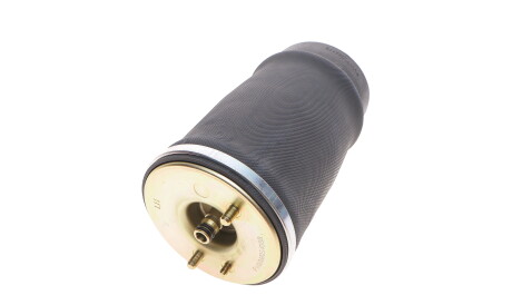 Фото 3 - Стойка амортизатору (амортизатор) ARNOTT A-2502