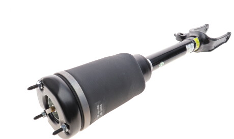 Фото 3 - Стійка амортизатору (амортизатор) ARNOTT AS-3005 (AS3005)