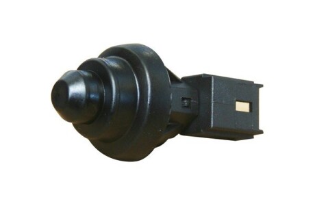 Вимикач освітлення салону - ASAM 30341