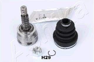 Шарнирный комплект - (495001C302, 495001C301, 495001C351) ASHIKA 620HH29 (фото 1)