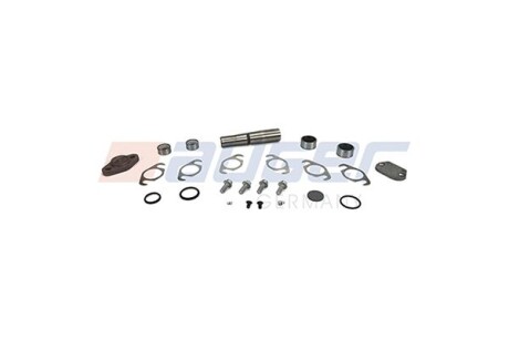 Ремкомплект шкворня (компл. на 1 колесо, з шворнем 43ммx199мм) IVECO - AUGER 81920