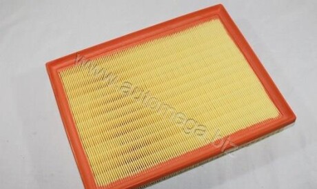 Air filter - AUTOMEGA 180033110