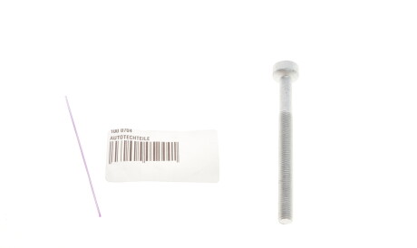 Болт кріплення форсунки - ((0019902607, A0019902607)) AUTOTECHTEILE 100 0704