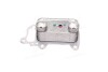 Oil cooler - AVA COOLING BW3622 (фото 1)