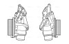 Радіатор масляний MERCEDES W204/W207/W211 DIESEL в зборі (AVA) - ((2721800110, 2721800210, 2721800410, 2721800510, 2721880001)) AVA COOLING MS3688H (фото 1)