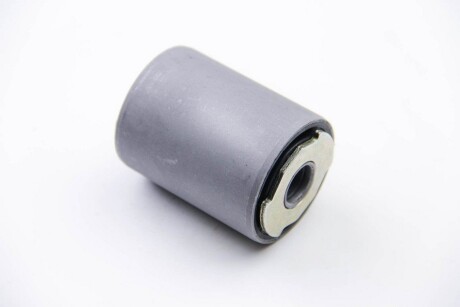 Фото 2 - Рессора BC GUMA BC0913