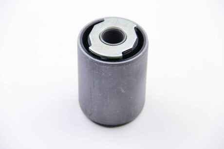 Фото 4 - Рессора BC GUMA BC0913