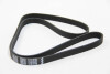Ремінь генератора Crafter 2.0TDI 11- - ((03G903137E, 7565945, 1102826, YS6E6C301AB, 504032643)) BGA 6PK1613 (фото 2)