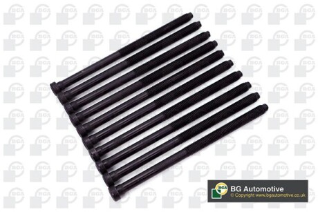 Болты головки блока Audi A3/Octavia/Rapid/Golf 1.6TDI 12- - BGA BK0101