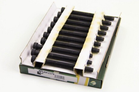 Фото 2 - Болти головки блоку циліндрів BGA BK2378