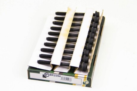 Фото 2 - Болти головки блоку циліндрів BGA BK2394