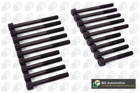 Болти головки блоку Carnival 99-06 2.9 CRDi (8+10 шт.) - BGA BK3306