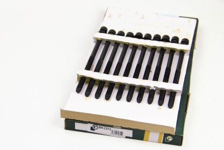 Фото 2 - Болти головки блоку циліндрів BGA BK3373