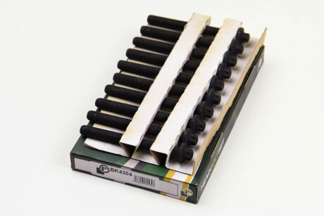 Фото 2 - Болти головки блоку циліндрів BGA BK4304