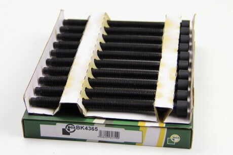 Фото 2 - Болти головки блоку циліндрів BGA BK4365