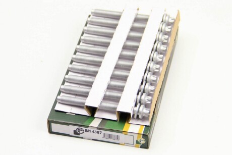 Фото 2 - Болти головки блоку циліндрів BGA BK4387