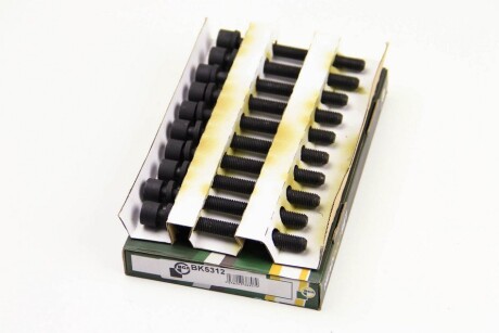 Фото 2 - Болты головки блока цилиндров BGA BK5312