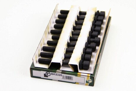 Фото 2 - Болты головки блока цилиндров BGA BK5320