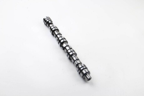 Фото 3 - Распредвал BGA CS6303