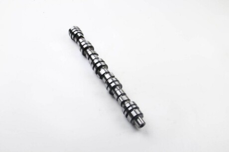 Фото 4 - Распредвал BGA CS6303