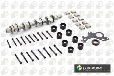 Розподільний вал (комплект) Caddy/T5 1.9TDI 04- (BSU,BLS) / 2.0TDI (BMM) - ((038109101AH)) BGA CS9503SFK