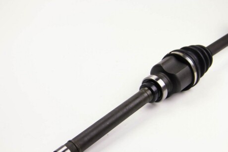 Фото 2 - Напіввісь BGA DS1410R