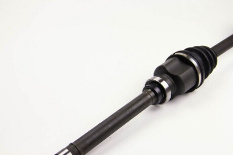 Фото 4 - Напіввісь BGA DS1410R