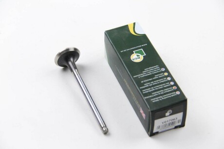 Фото 4 - Клапан выпускной BGA V017063