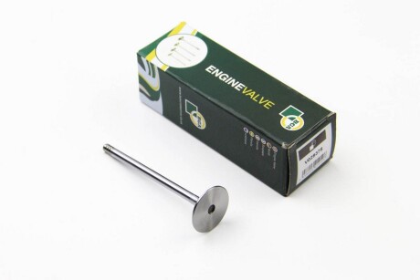 Фото 3 - Клапан впускной BGA V029375