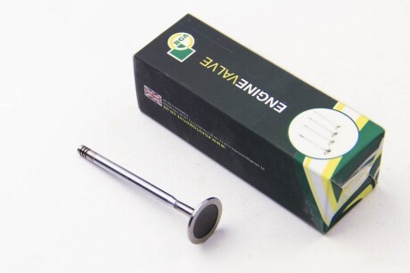 Фото 2 - Клапан впускной BGA V165060