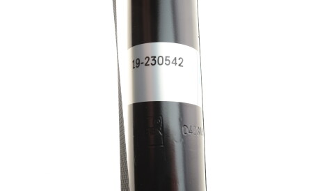 Фото 2 - Стійка амортизатору (амортизатор) BILSTEIN 19-230542 (19230542)