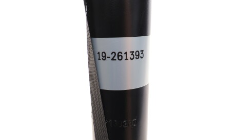 Фото 3 - Стійка амортизатору (амортизатор) BILSTEIN 19-261393 (19261393)