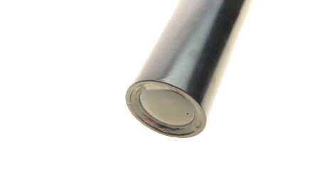 Фото 3 - Стійка амортизатору (амортизатор) BILSTEIN 22-270047 (22270047)